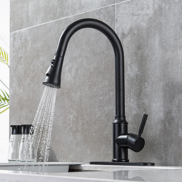 304 stainless steel high quality pull-out 360 swivel faucet, multi-function water outlet pull-out kitchen faucet (2)
