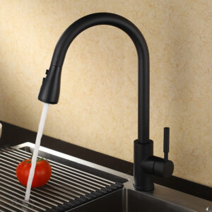 Faucet manufacturer batch kitchen faucet pull out matte black kitchen faucet with hose (1)