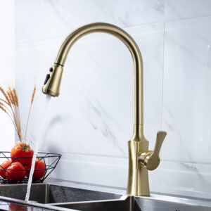 Golden brushed SUS304 stainless steel flexible rotating single handle hot and cold pull out the kitchen faucet (1)