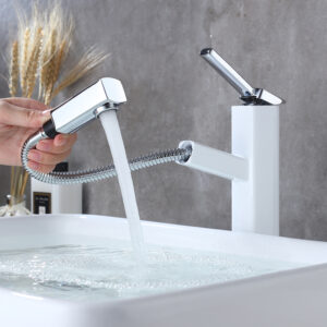 Multifunctional basin faucet faucet