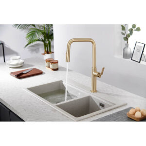 Single Handle Design Kitchen Sink Taps Faucet Pull Out Kitchen Faucets Gold With Pull Down Sprayer (6)