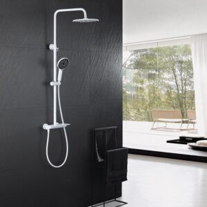 Wall-mounted shower head